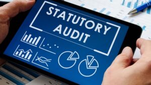 Statutory Audit